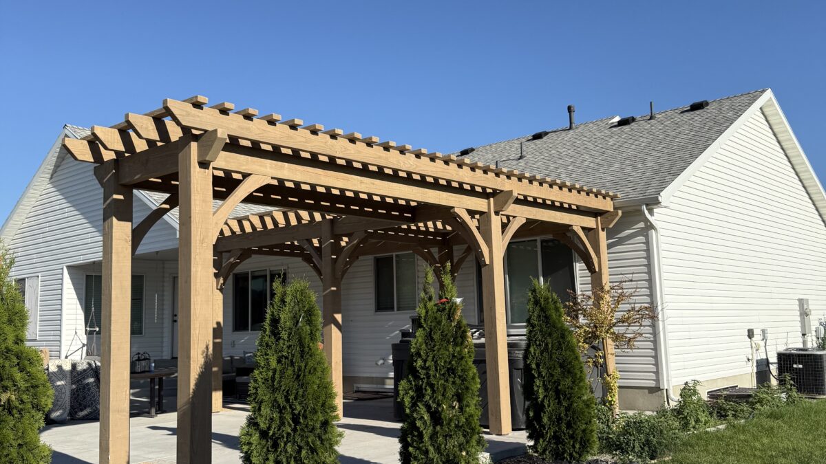 A wooden pergola stands on a concrete patio in a backyard next to a light-colored house. Several small evergreen trees line the patio’s edge, and a fence borders the yard. The sky is clear and blue.