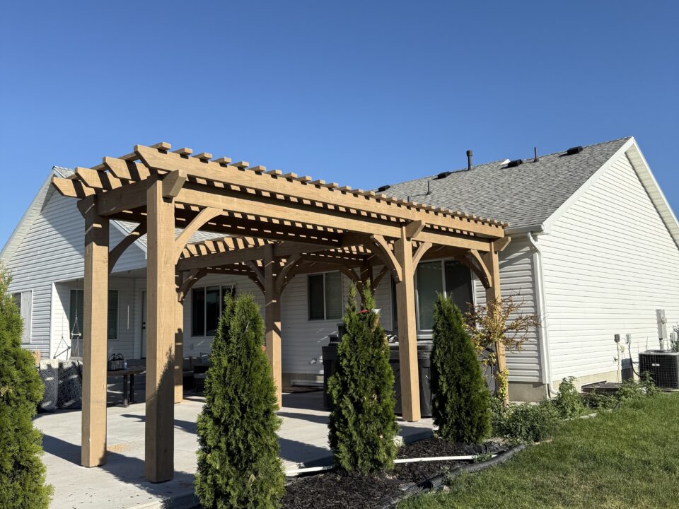 A wooden pergola stands on a concrete patio in a backyard next to a light-colored house. Several small evergreen trees line the patio’s edge, and a fence borders the yard. The sky is clear and blue.